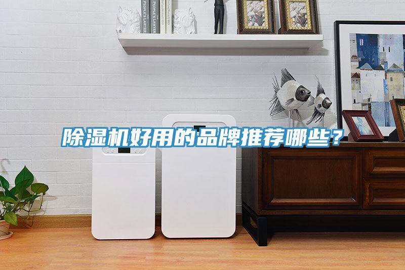 PICACG哔咔官网入口好用的品牌推薦哪些？