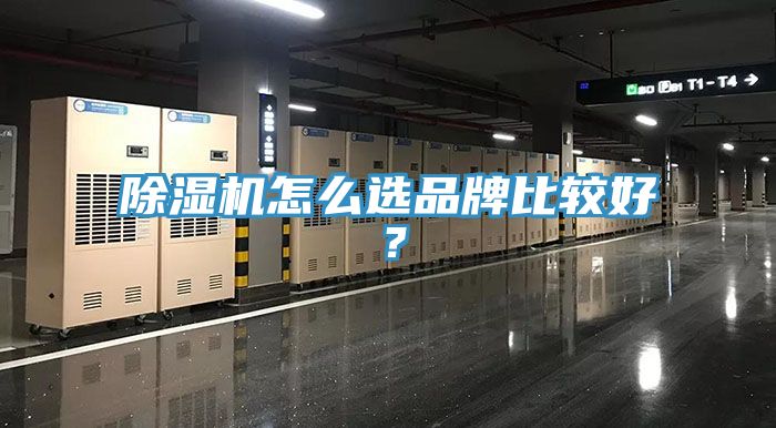 PICACG哔咔官网入口怎麽選品牌比較好？