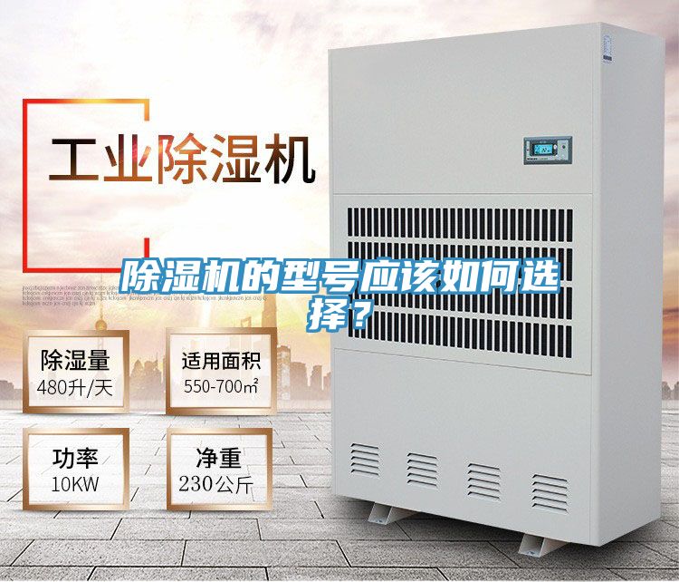 PICACG哔咔官网入口的型號應該如何選擇？