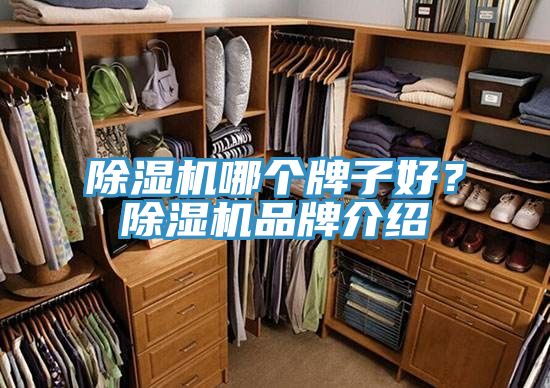 PICACG哔咔官网入口哪個牌子好？PICACG哔咔官网入口品牌介紹