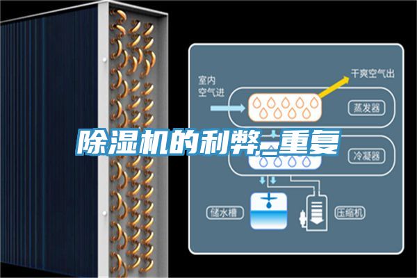 PICACG哔咔官网入口的利弊_重複