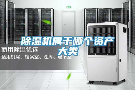 PICACG哔咔官网入口屬於哪個資產大類