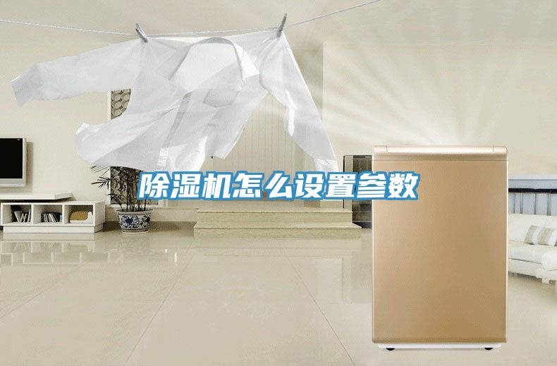 PICACG哔咔官网入口怎麽設置參數