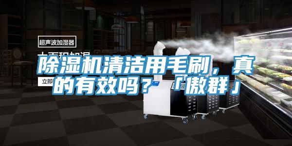 PICACG哔咔官网入口清潔用毛刷，真的有效嗎？「傲群」