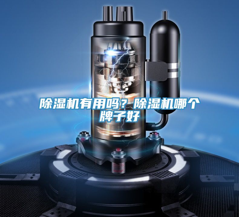 PICACG哔咔官网入口有用嗎？PICACG哔咔官网入口哪個牌子好