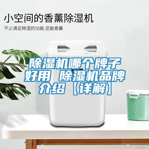 PICACG哔咔官网入口哪個牌子好用 PICACG哔咔官网入口品牌介紹【詳解】