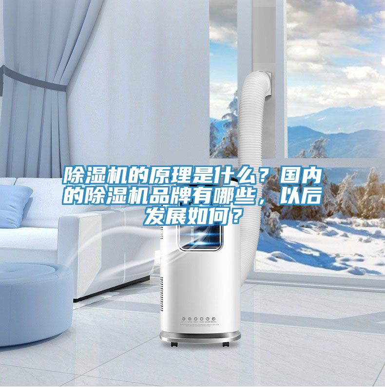 PICACG哔咔官网入口的原理是什麽？國內的PICACG哔咔官网入口品牌有哪些，以後發展如何？