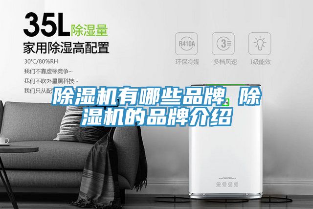 PICACG哔咔官网入口有哪些品牌 PICACG哔咔官网入口的品牌介紹