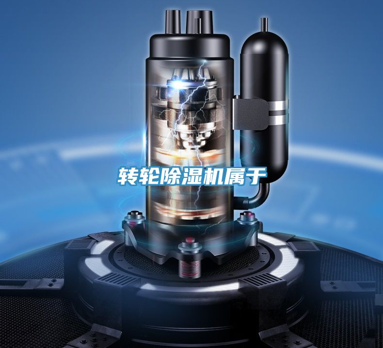 轉輪PICACG哔咔官网入口屬於