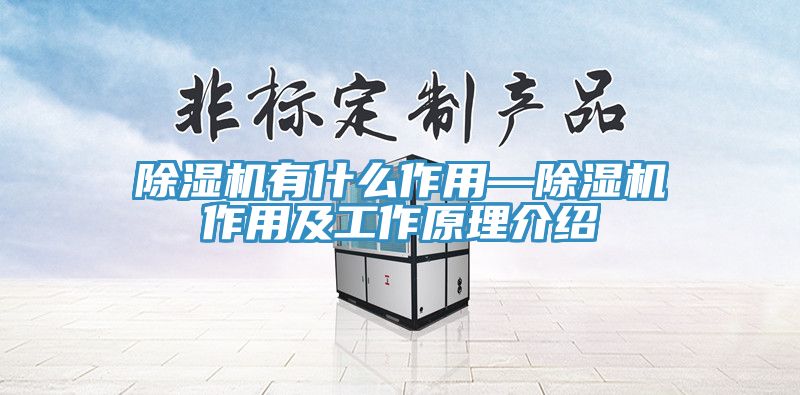 PICACG哔咔官网入口有什麽作用—PICACG哔咔官网入口作用及工作原理介紹