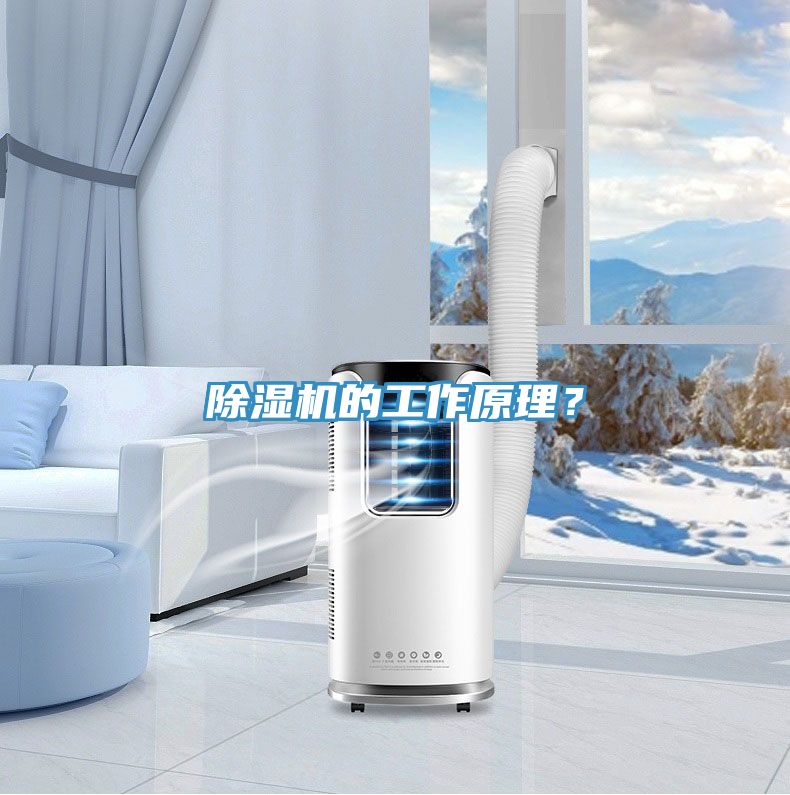 PICACG哔咔官网入口的工作原理？