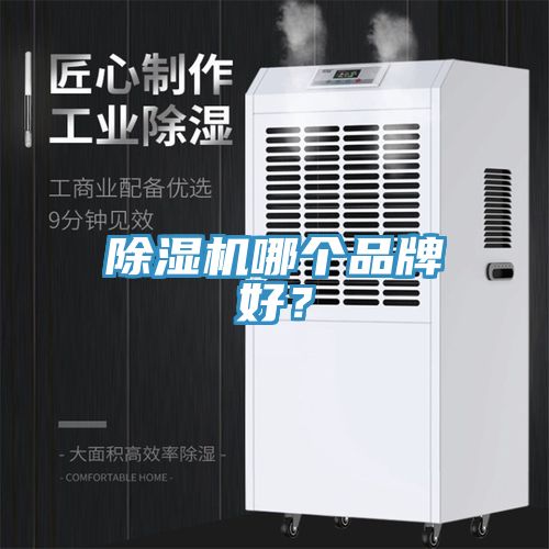 PICACG哔咔官网入口哪個品牌好？