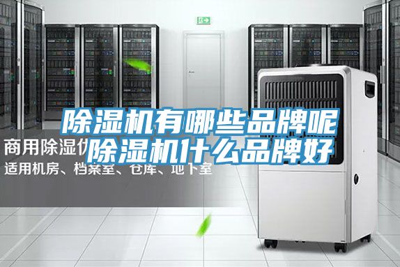 PICACG哔咔官网入口有哪些品牌呢 PICACG哔咔官网入口什麽品牌好