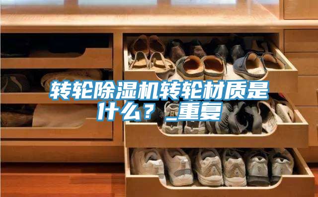 轉輪PICACG哔咔官网入口轉輪材質是什麽？_重複