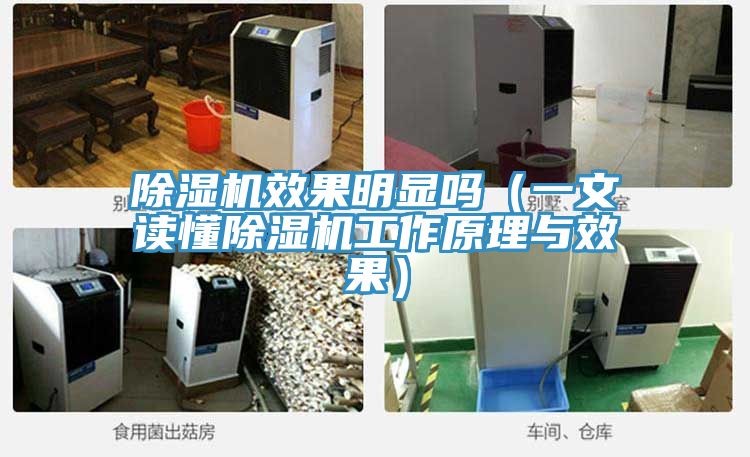 PICACG哔咔官网入口效果明顯嗎（一文讀懂PICACG哔咔官网入口工作原理與效果）