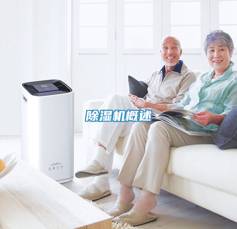 PICACG哔咔官网入口概述