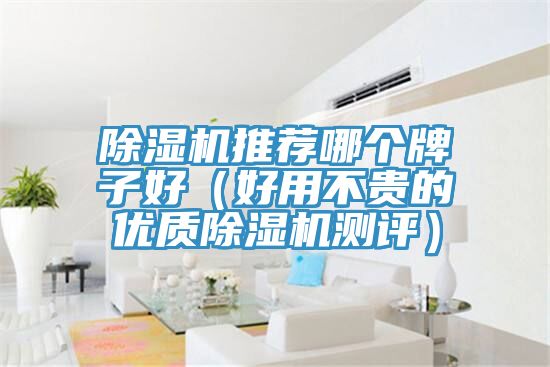 PICACG哔咔官网入口推薦哪個牌子好（好用不貴的優質PICACG哔咔官网入口測評）