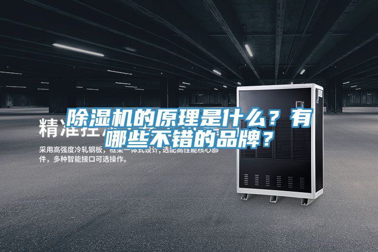 PICACG哔咔官网入口的原理是什麽？有哪些不錯的品牌？