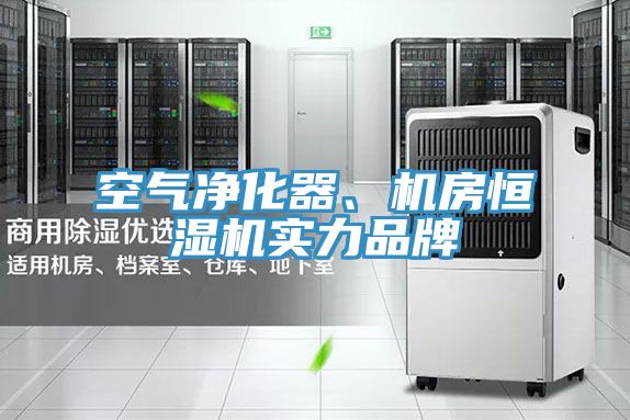 空氣淨化器、機房恒濕機實力品牌