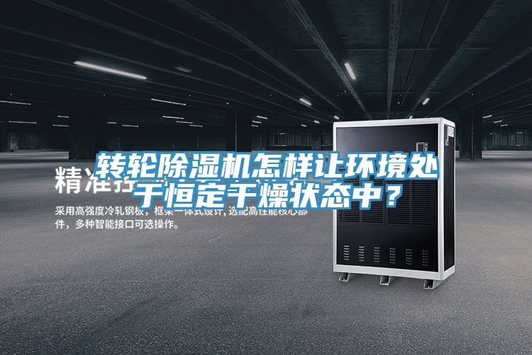 轉輪PICACG哔咔官网入口怎樣讓環境處於恒定幹燥狀態中？