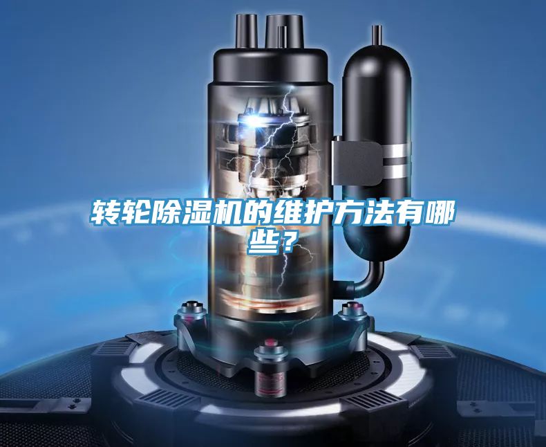 轉輪PICACG哔咔官网入口的維護方法有哪些？