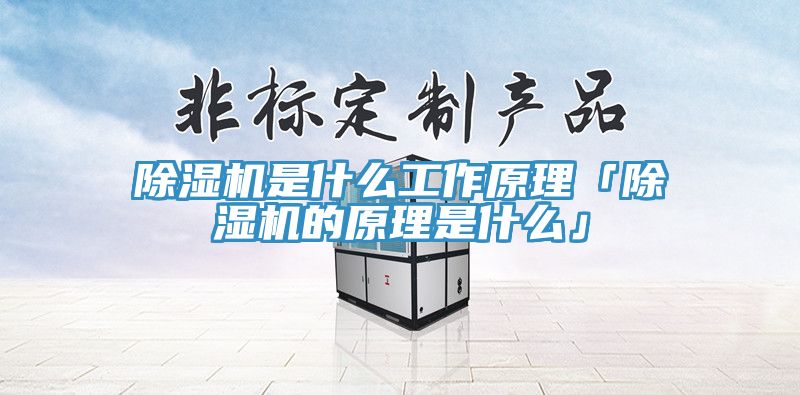 PICACG哔咔官网入口是什麽工作原理「PICACG哔咔官网入口的原理是什麽」