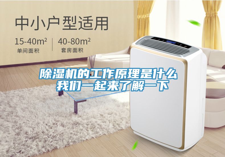 PICACG哔咔官网入口的工作原理是什麽 哔咔漫画免费观看入口官网一起來了解一下