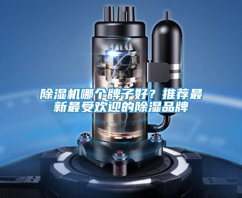 PICACG哔咔官网入口哪個牌子好？推薦最新最受歡迎的除濕品牌