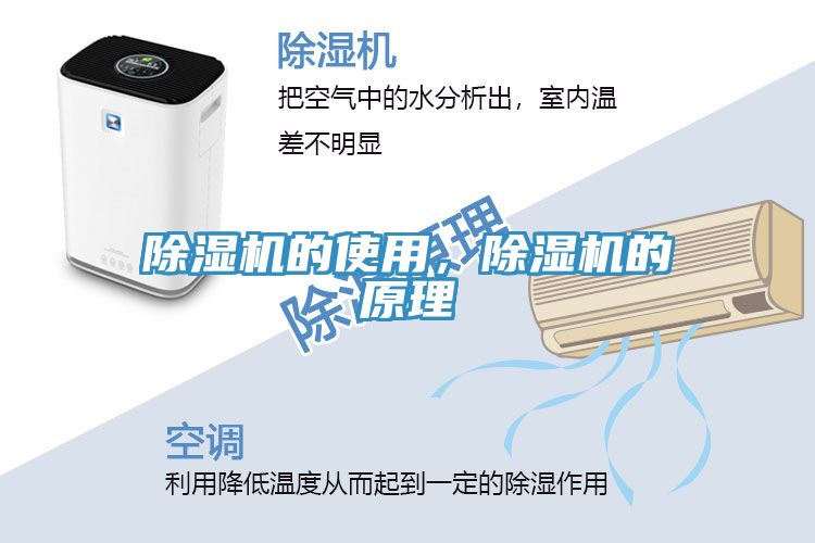 PICACG哔咔官网入口的使用，PICACG哔咔官网入口的原理