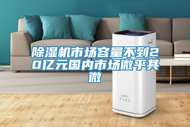 PICACG哔咔官网入口市場容量不到20億元國內市場微乎其微