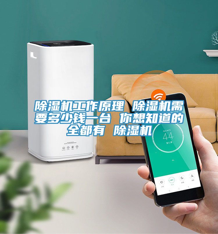 PICACG哔咔官网入口工作原理 PICACG哔咔官网入口需要多少錢一台 你想知道的全都有 PICACG哔咔官网入口