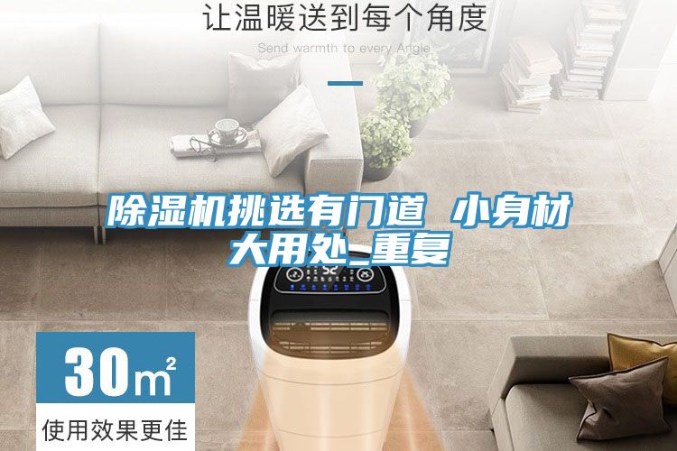 PICACG哔咔官网入口挑選有門道 小身材大用處_重複