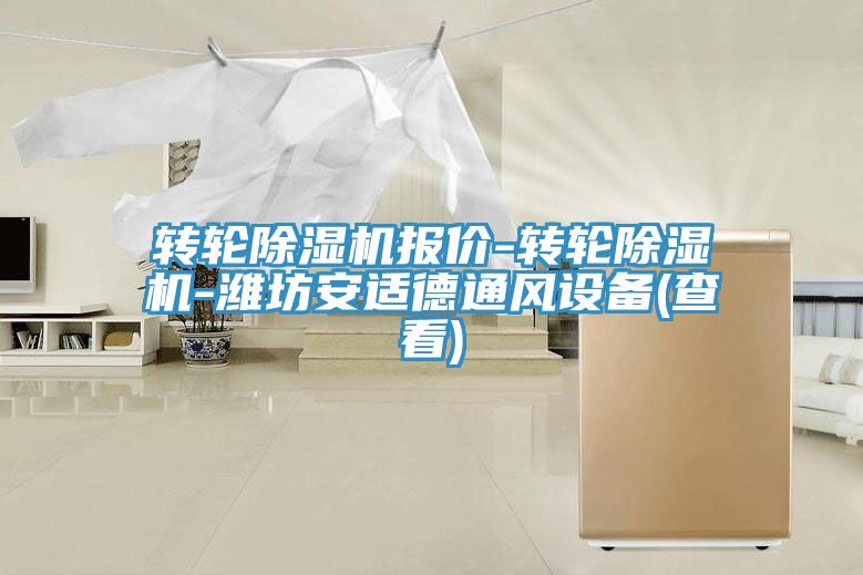 轉輪PICACG哔咔官网入口報價-轉輪PICACG哔咔官网入口-濰坊安適德通風設備(查看)