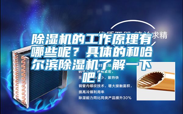 PICACG哔咔官网入口的工作原理有哪些呢？具體的和哈爾濱PICACG哔咔官网入口了解一下吧！