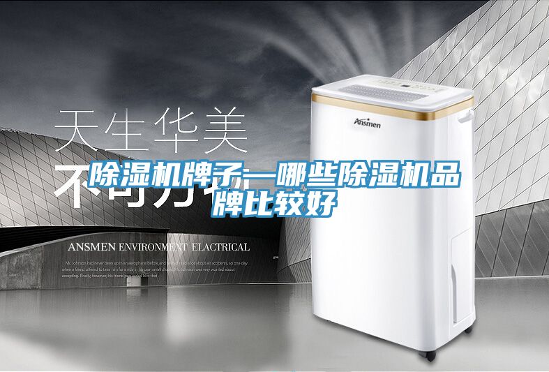 PICACG哔咔官网入口牌子—哪些PICACG哔咔官网入口品牌比較好