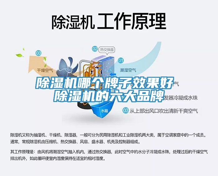 PICACG哔咔官网入口哪個牌子效果好 PICACG哔咔官网入口的六大品牌