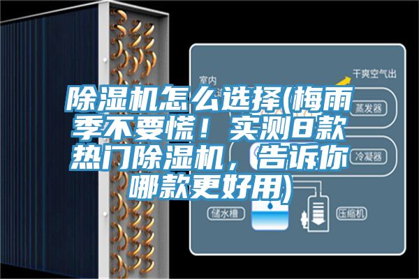 PICACG哔咔官网入口怎麽選擇(梅雨季不要慌！實測8款熱門PICACG哔咔官网入口，告訴你哪款更好用)