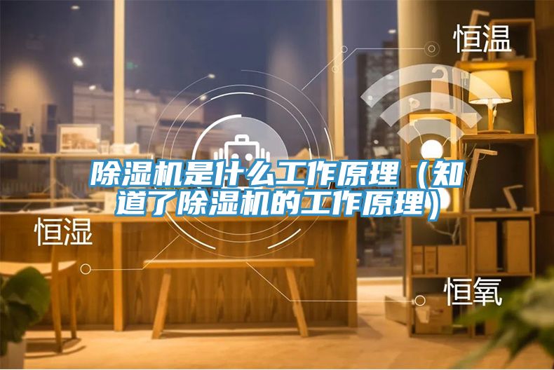 PICACG哔咔官网入口是什麽工作原理（知道了PICACG哔咔官网入口的工作原理）