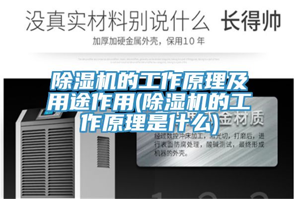 PICACG哔咔官网入口的工作原理及用途作用(PICACG哔咔官网入口的工作原理是什麽)