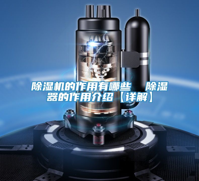 PICACG哔咔官网入口的作用有哪些  除濕器的作用介紹【詳解】