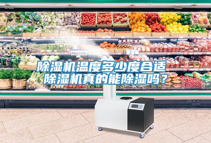 PICACG哔咔官网入口溫度多少度合適 PICACG哔咔官网入口真的能除濕嗎？