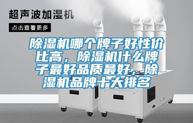 PICACG哔咔官网入口哪個牌子好性價比高，PICACG哔咔官网入口什麽牌子最好品質最好，PICACG哔咔官网入口品牌十大排名