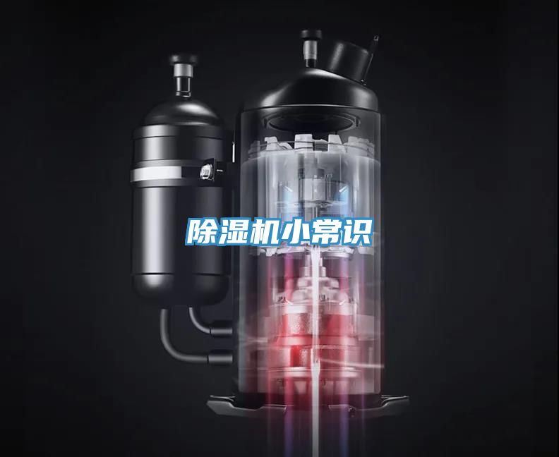 PICACG哔咔官网入口小常識