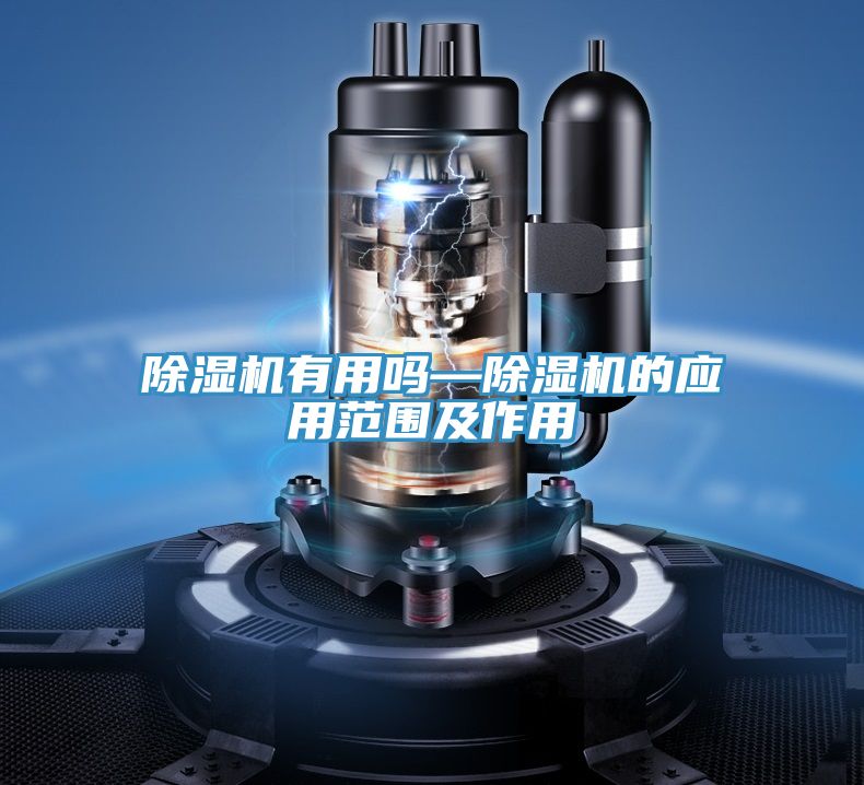 PICACG哔咔官网入口有用嗎—PICACG哔咔官网入口的應用範圍及作用