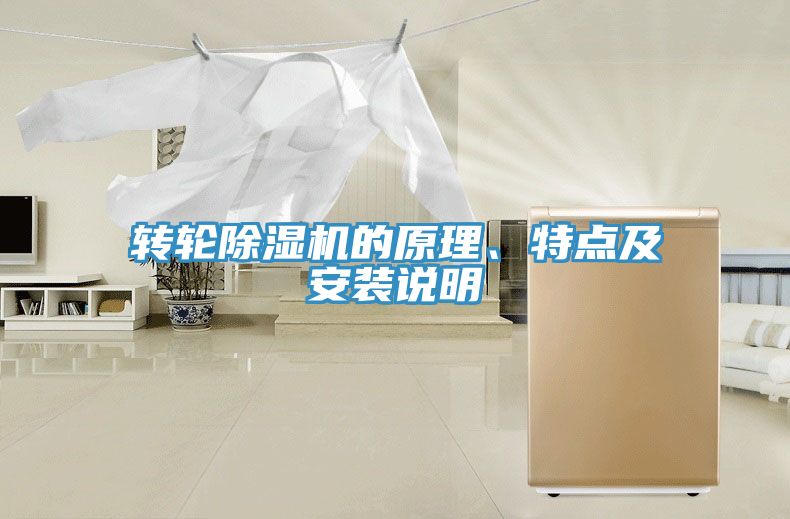 轉輪PICACG哔咔官网入口的原理、特點及安裝說明