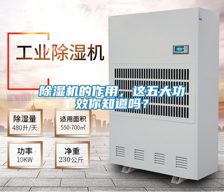 PICACG哔咔官网入口的作用，這五大功效你知道嗎？