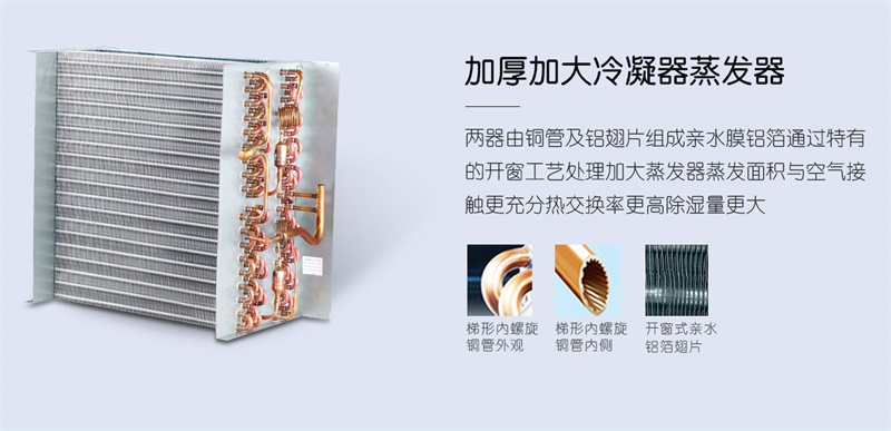 手推PICACG哔咔官网入口2